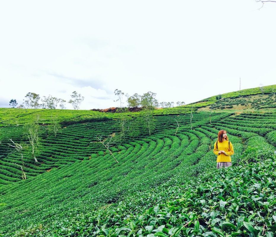Tour Đà Lạt 1 ngày giá rẻ - villa Đà Lạt Memory cho thuê - bietthudalat.info-2